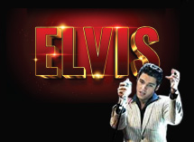 Elvis Tribute Dinner Show at Liberty Harbor Event Center in Bay City, MI